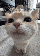 m avatar